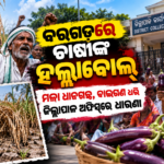 Farmers’ Brinjal Protest at Bargarh Collectorate