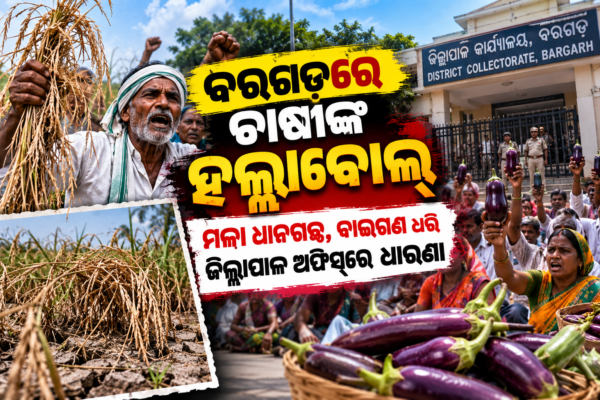 Farmers’ Brinjal Protest at Bargarh Collectorate