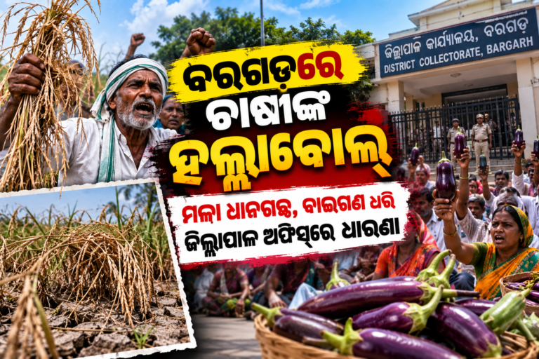 Farmers’ Brinjal Protest at Bargarh Collectorate