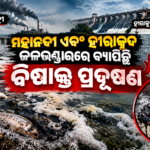 Toxic Pollution in Mahanadi and Hirakud Waters